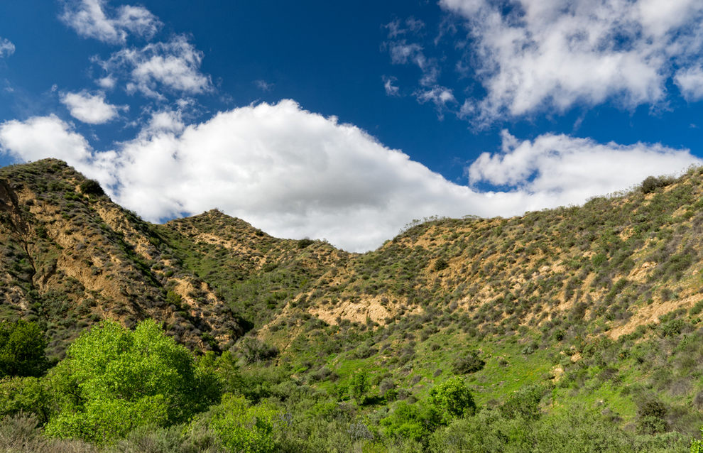 Canyon in Newhall CA