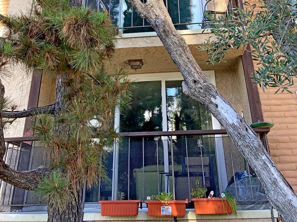 Window and Patio Door Replacement in Los Angeles, CA