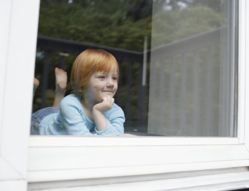 Ways In Which New Windows Help Reduce Noise