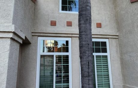 Window Replacement in Valencia, CA
