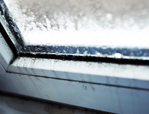 What Are the Common Signs That Your Windows Are Failing?