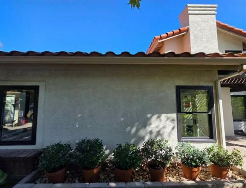 How Do Better Windows Protect Your Home Against Coastal Moisture