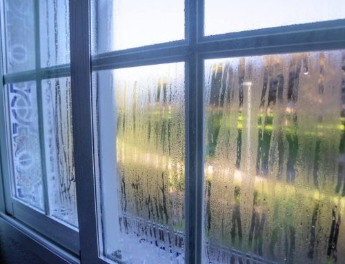 When to Replace Your Windows to Maximize Energy Savings and Comfort