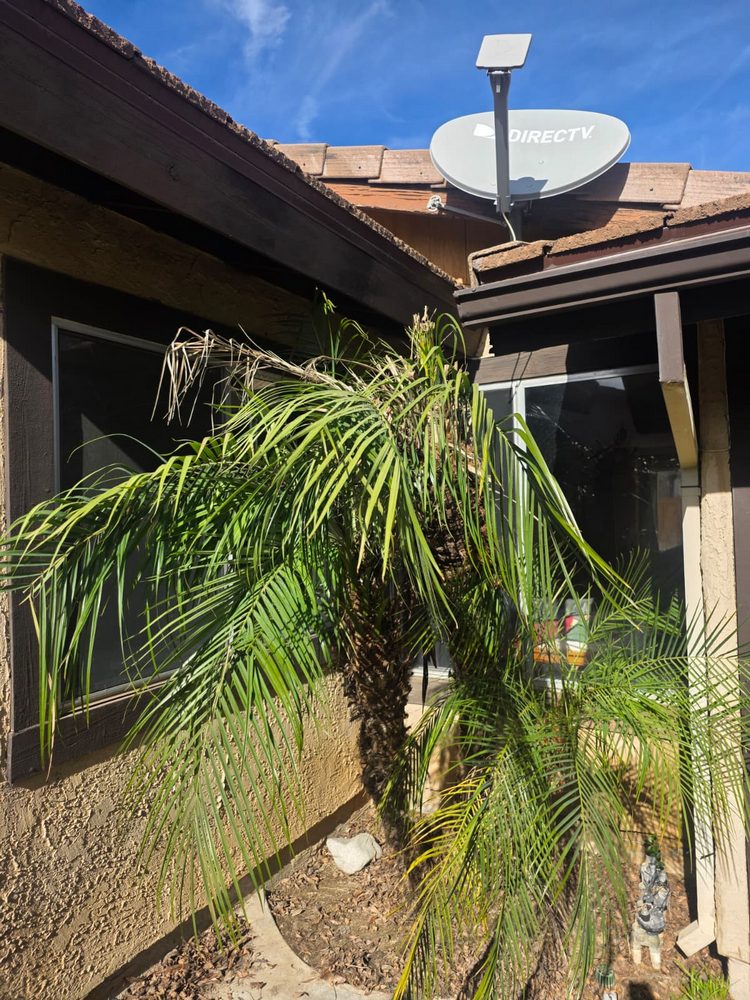 Anlin Window and Patio Door Replacement in Santa Clarita, CA (1)