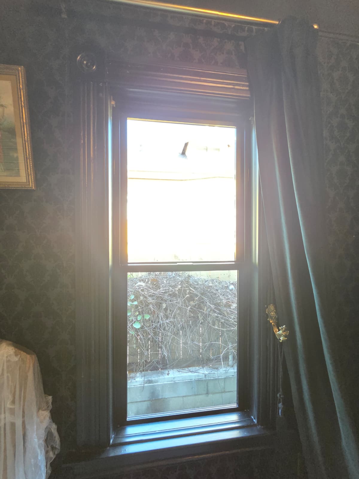 Black Frame Milgard Trinsic Window Installation in Los Angeles, CA (5)