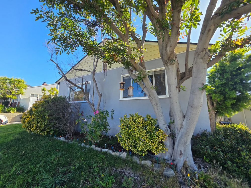 White Anlin Window Transformation in Burbank, CA (8)