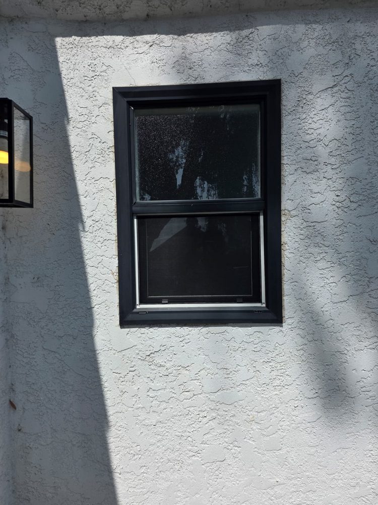 Black Anlin Window Replacement for New Construction in Sherman Oaks, CA (5)